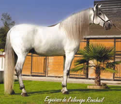 Enganoso